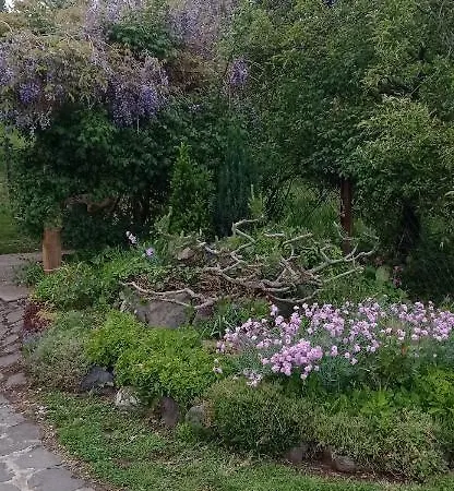 Kámán * Badacsonytomaj