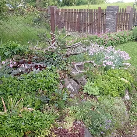 Kaman Nyaralo Апартаменты