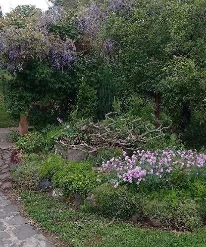 Kaman Nyaralo * Badacsonytomaj